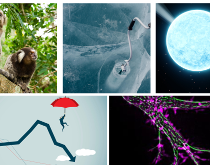 Cover image of ERC Synergy Grants 2022 - project highlights